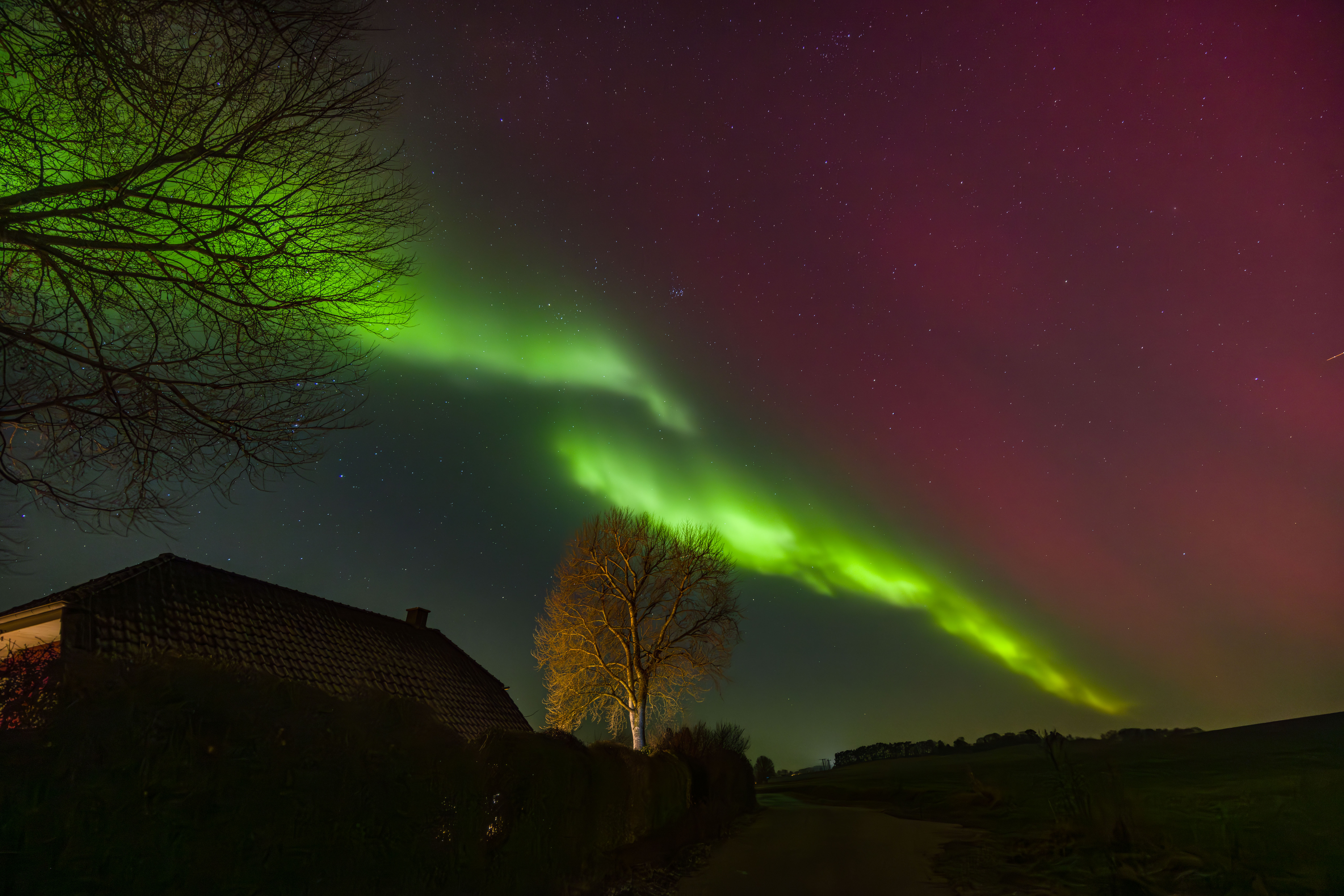 GMR52087 20260119 221800 14 mm 3.2 Sek. bei f   4,0 ISO 3200